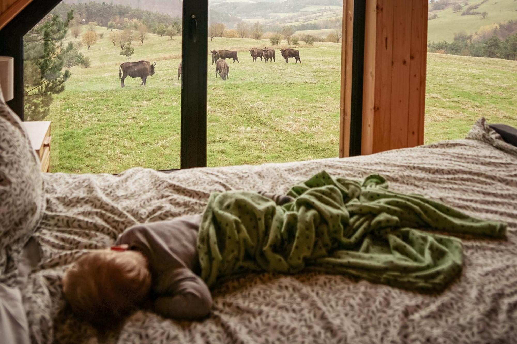 W Chmurach Chalet Komancza